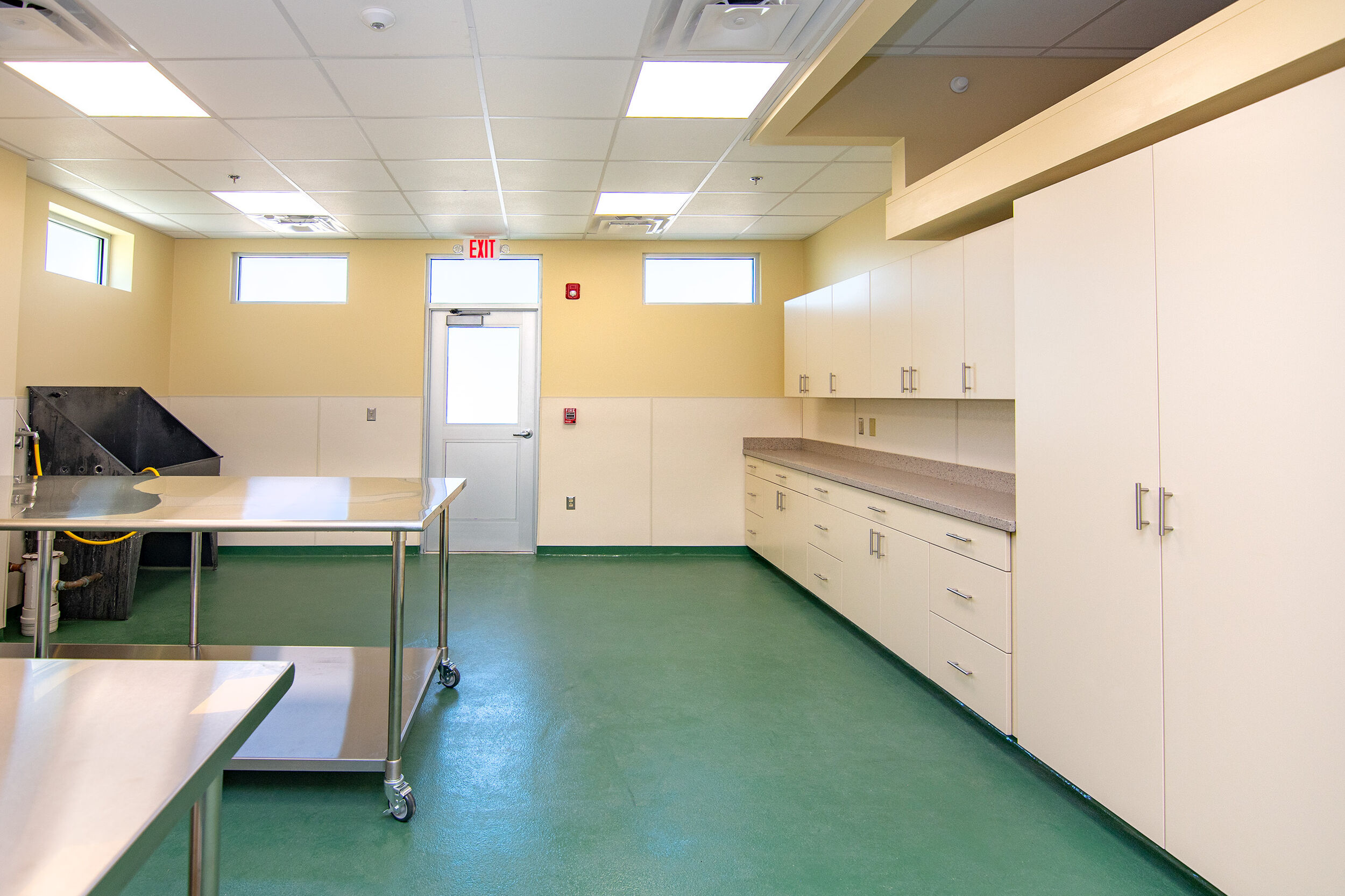 Berkshire Humane Society Edda Hyde Cat Community Center Allegrone