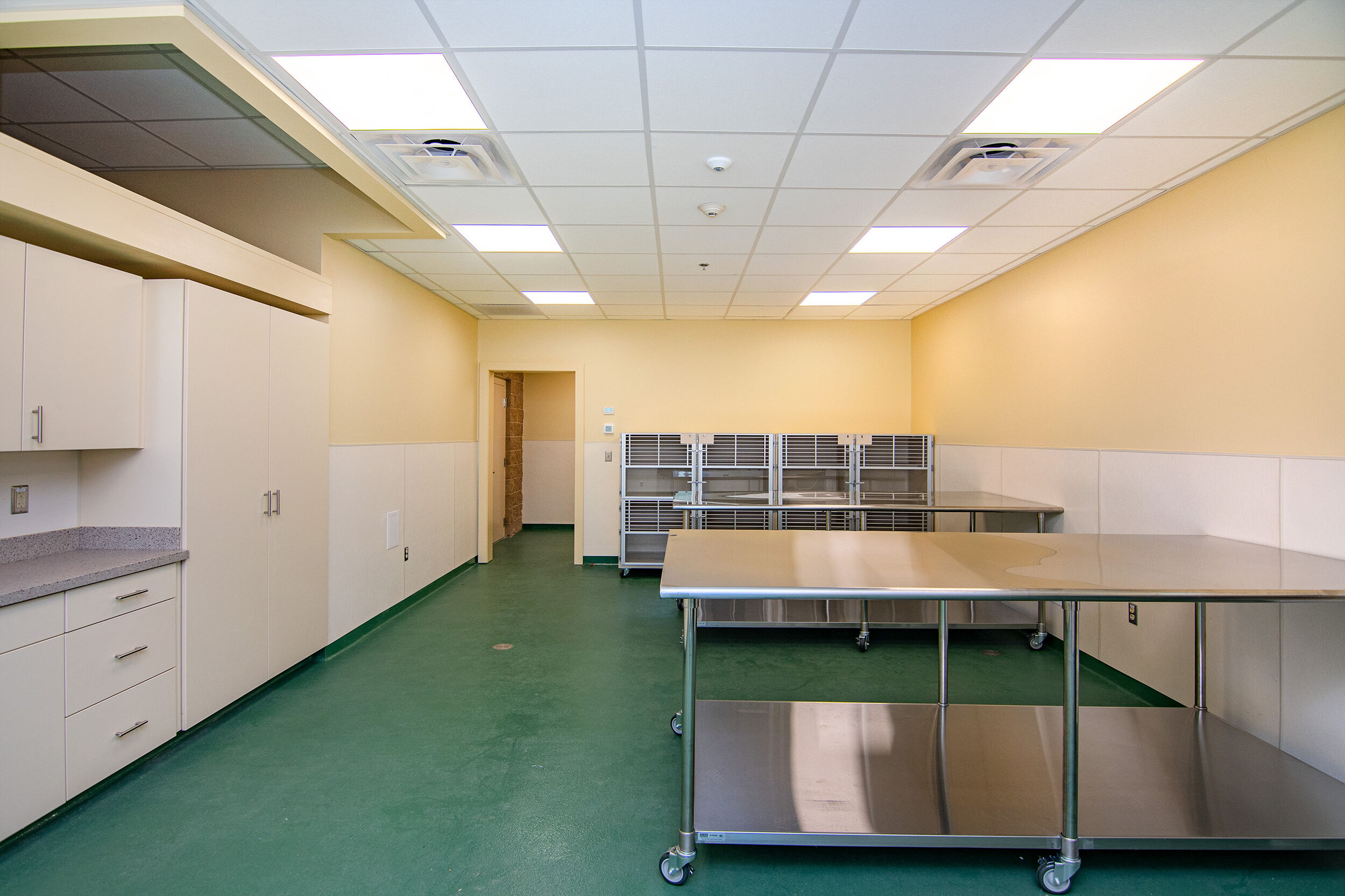 Berkshire Humane Society Edda Hyde Cat Community Center Allegrone