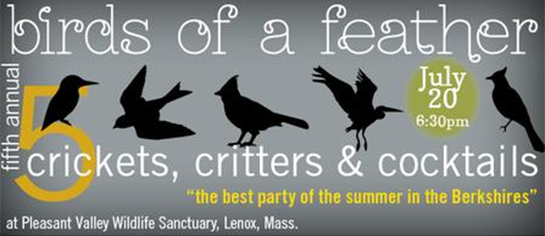 Birds of a Feather