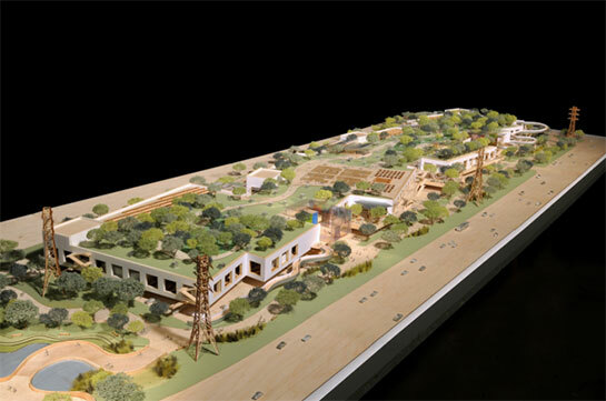 Facebook's Green Roof