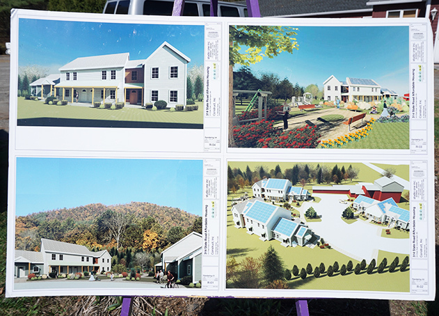 Forest Springs 3